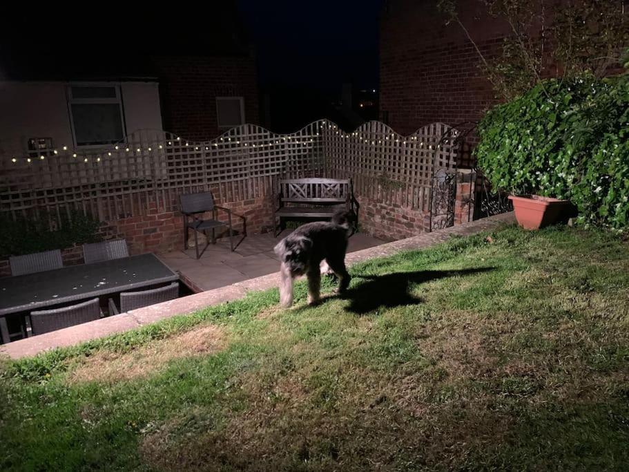 Award Winning Pet Friendly Paddock Cottage Whitby Kültér fotó