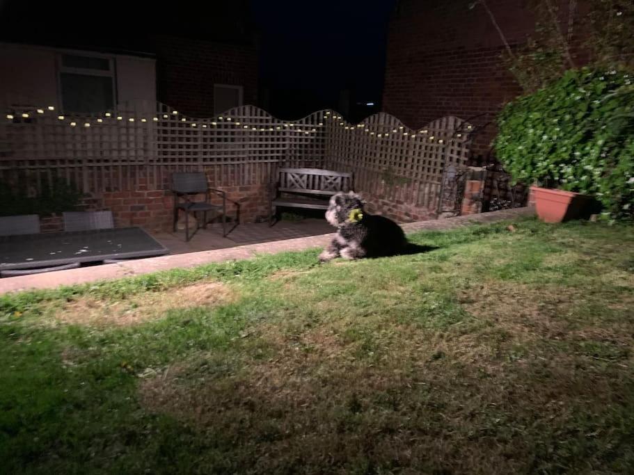 Award Winning Pet Friendly Paddock Cottage Whitby Kültér fotó