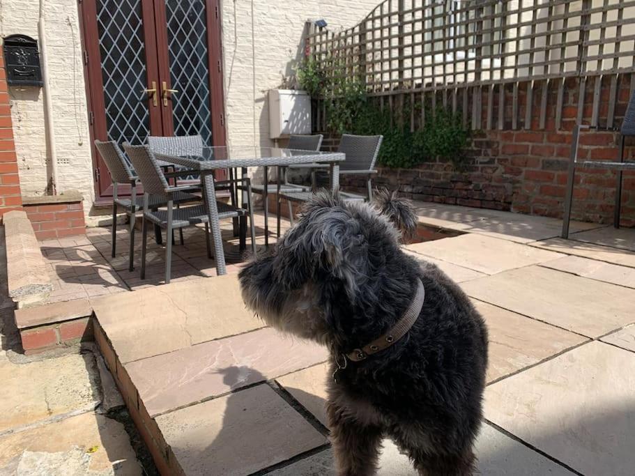 Award Winning Pet Friendly Paddock Cottage Whitby Kültér fotó