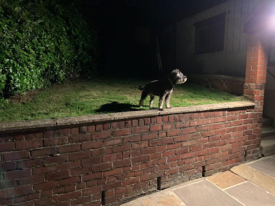Award Winning Pet Friendly Paddock Cottage Whitby Kültér fotó